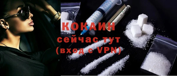 дмт Осташков