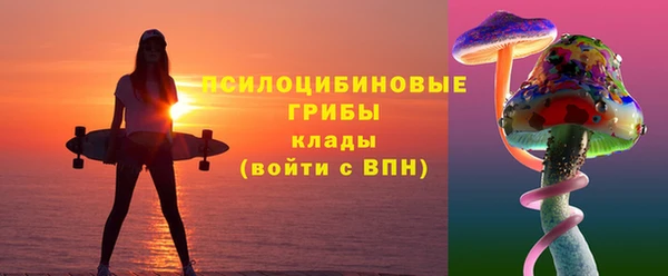 дмт Осташков