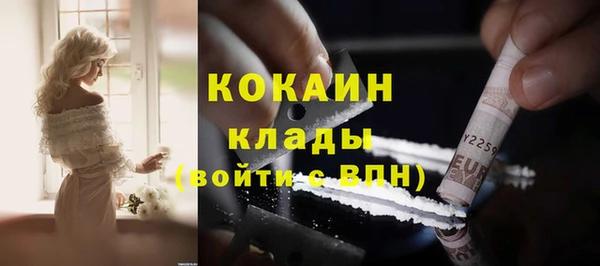 дмт Осташков