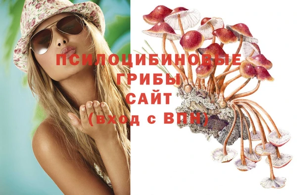 скорость mdpv Осинники