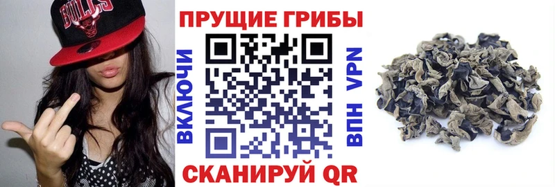 блэк спрут как войти  Усолье  Псилоцибиновые грибы Magic Shrooms  купить наркоту 